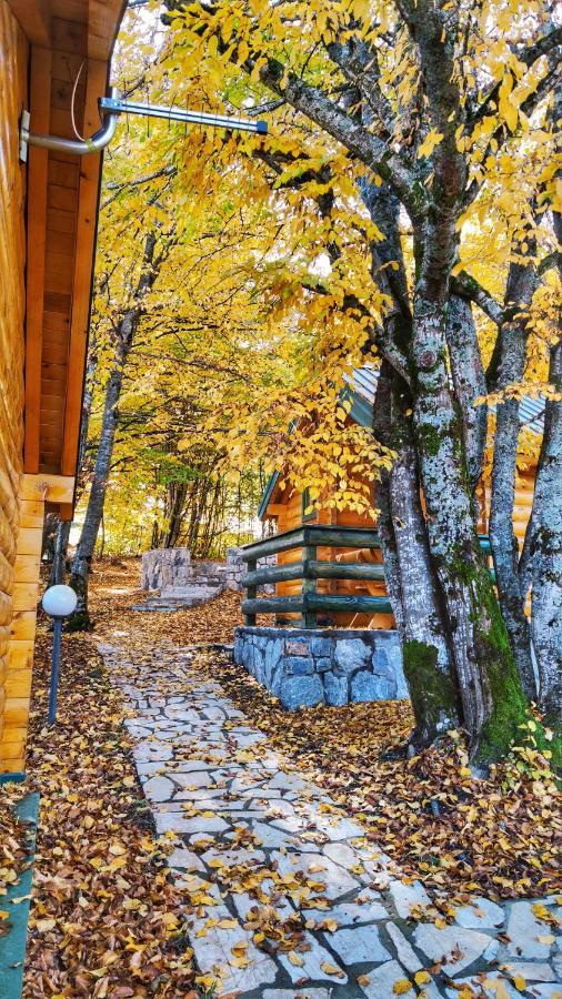 Kozak Apartments & Restaurant Мойковац Екстер'єр фото