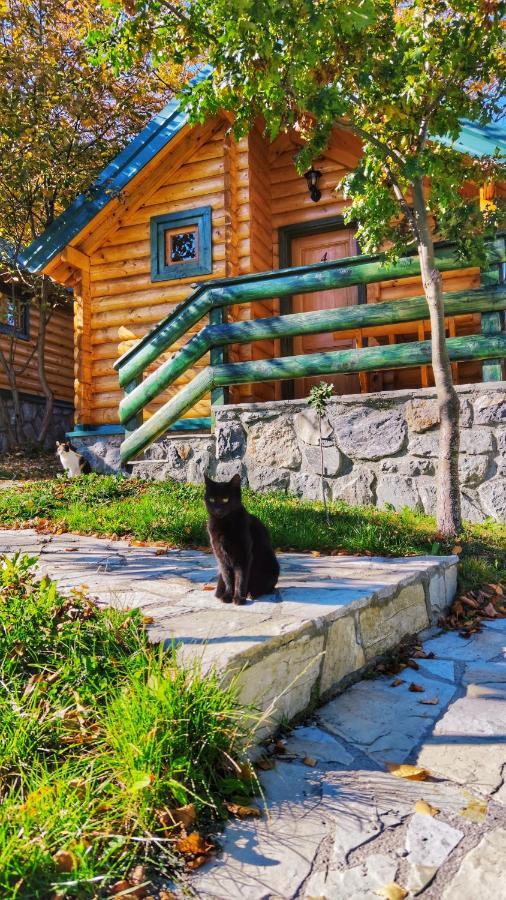 Kozak Apartments & Restaurant Мойковац Екстер'єр фото