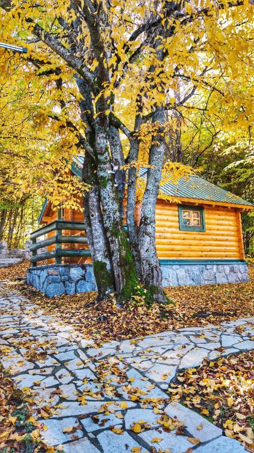 Kozak Apartments & Restaurant Мойковац Екстер'єр фото
