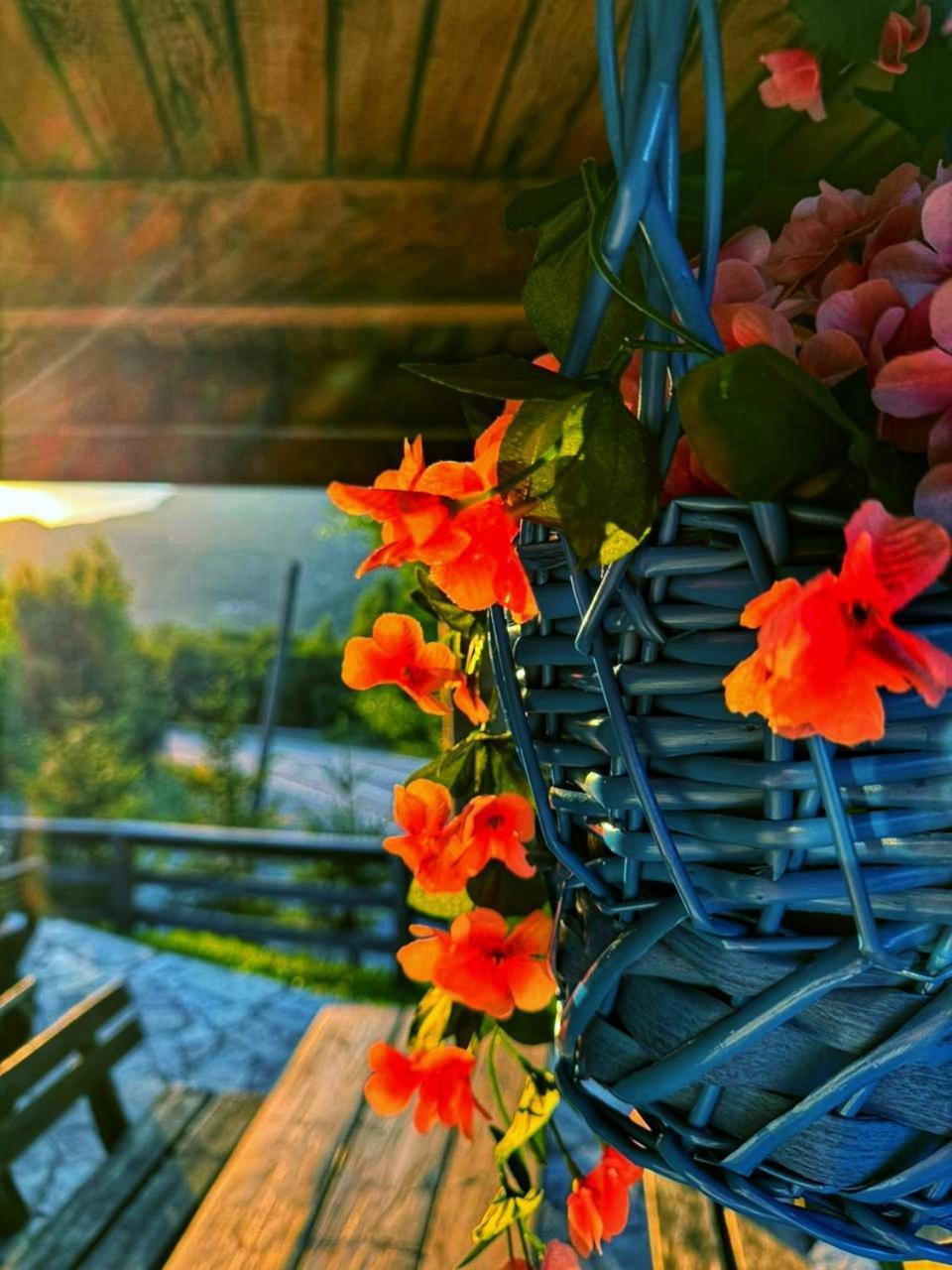 Kozak Apartments & Restaurant Мойковац Екстер'єр фото